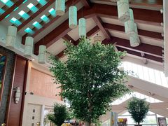 -雅安楠水阁温泉酒店