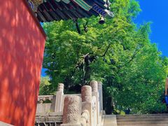 -潭柘寺景区