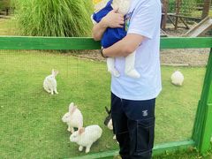 -田园东方蜜桃村的田野营地