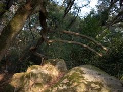 -青芝山风景名胜区