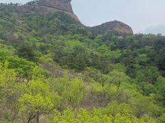 -磬锤峰森林公园