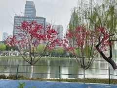 -洈水谣 · 地道荆州松滋菜(菱角湖公园店)