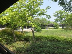 -尚贤河湿地