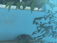 -青藏高原野生动物园