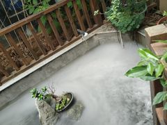 -王捌小院(红花坡店)