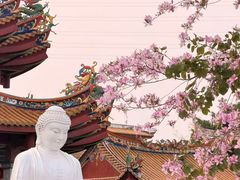 -仙岳公园