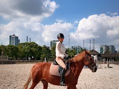 -松声马术俱乐部