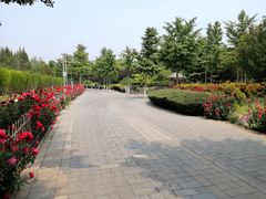-东升八家郊野公园
