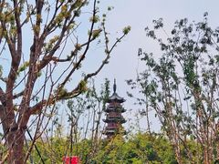 -龙华寺