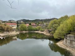 -清雅臻品·竹林院落·新派青岛菜(崂山店)