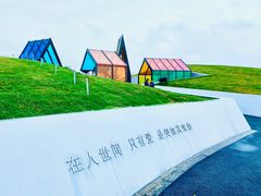 -荷兰花海