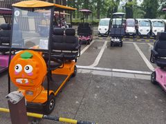 -黄海国家森林公园