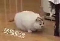 -四季美汤包(户部巷店)