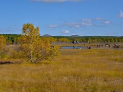 -塞罕坝国家级自然保护区