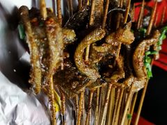 鳝鱼-晓靖轩烧烤(沙河风情店)