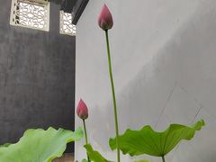 -东山雕花楼