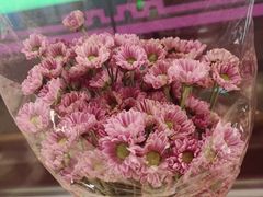 -PUFFRING帕芙琳(延兴门店)