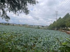 -乔波食品(杜桥中心菜场店)