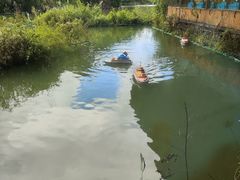 -长鹿旅游休博园