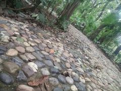 -蜀冈西峰生态公园