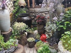 -尽善百年古院餐厅(王家老宅店)