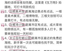 -日照海滨国家森林公园