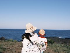 -涉地可支