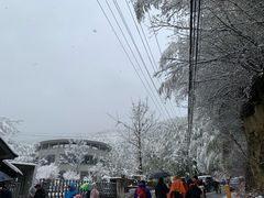 -湖州龙王山景区