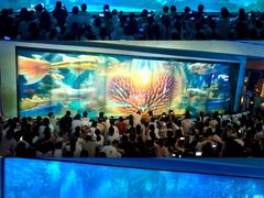 -海合安成都极地海洋公园