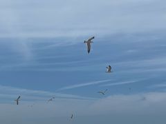 -那香海钻石沙滩浴场