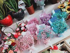 -秦美花卉(天朗·莱茵小城2期店)