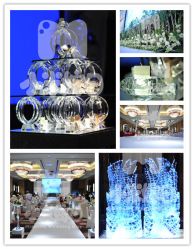 -M'S BANQUET AND SPACE ART