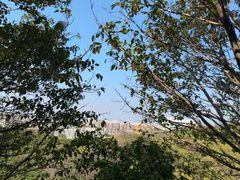 -仙岳公园