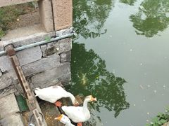 -苏州文庙(姑苏区)