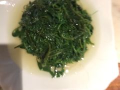-南山渔宴