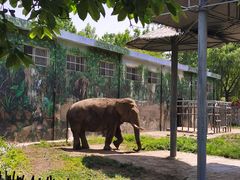 -西安秦岭野生动物园