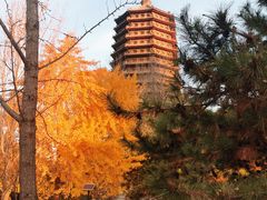 -玲珑塔公园