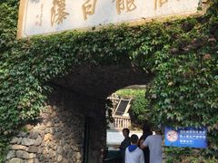 -藏龙百瀑风景区