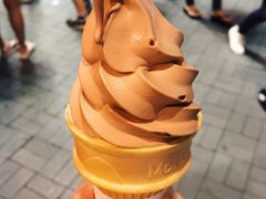 -富豪雪糕车流动点(尖沙咀店)