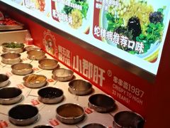 -钢管厂五区小郡肝火锅串串香(总店)