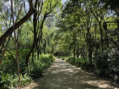 -西湖风景区-江洋畈生态公园