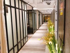 -拈菜(观音桥阳光世纪店)