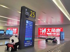 -温州龙湾国际机场