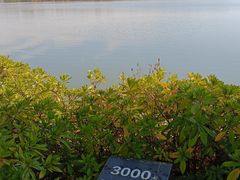 -东湖生态旅游风景区
