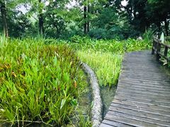 -成都市活水公园