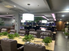 -网鱼网咖(金山卫零店)