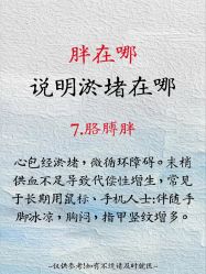 点击看大图 -玛莲朵·海菲秀冰珀科