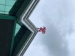 -牛背梁国家森林公园