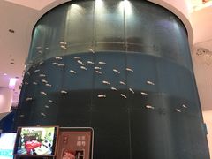 -深圳东部华侨城瀑布酒店