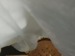 南瓜饼-广根糕点(中山西路店)